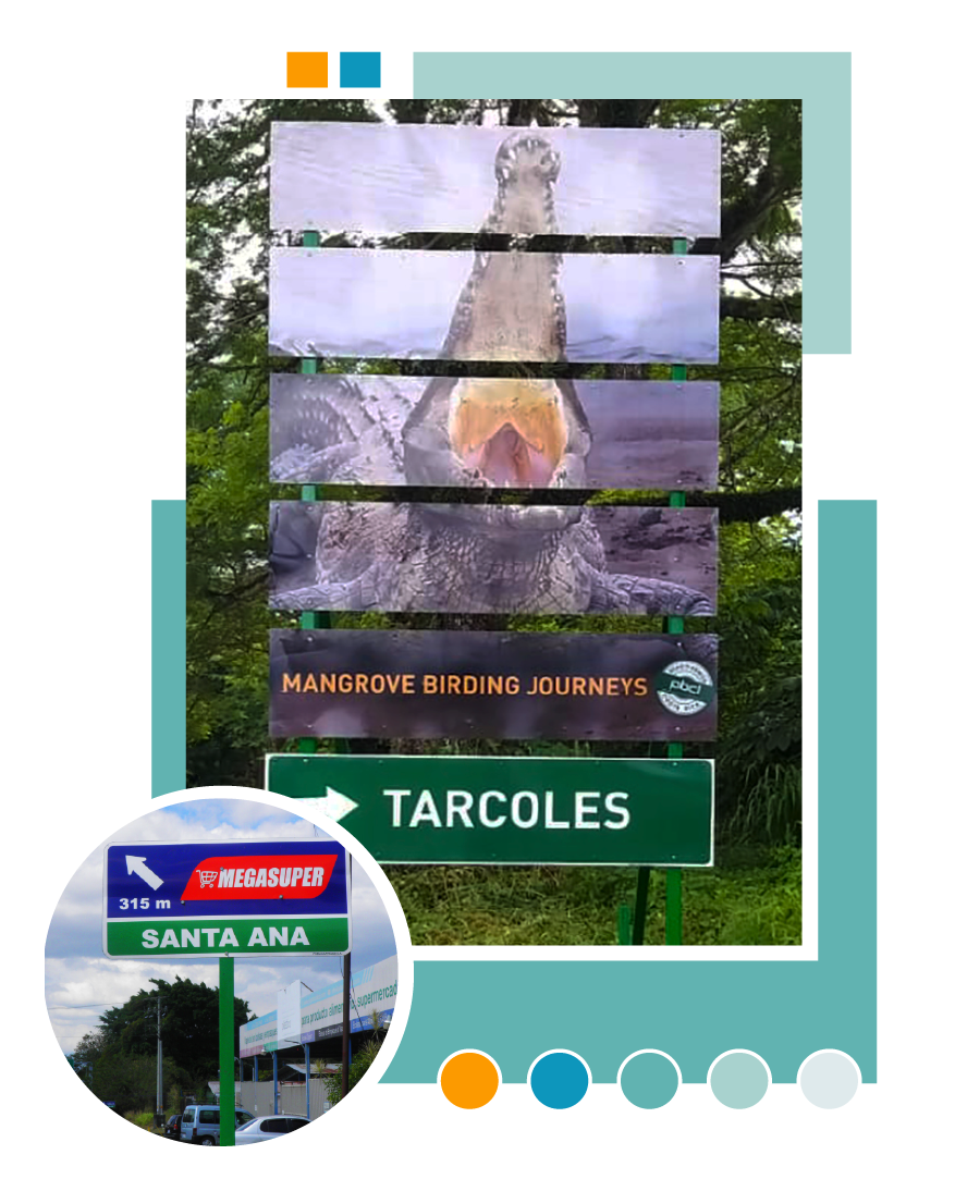 Publicarteles